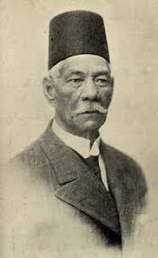 سعد زعلول